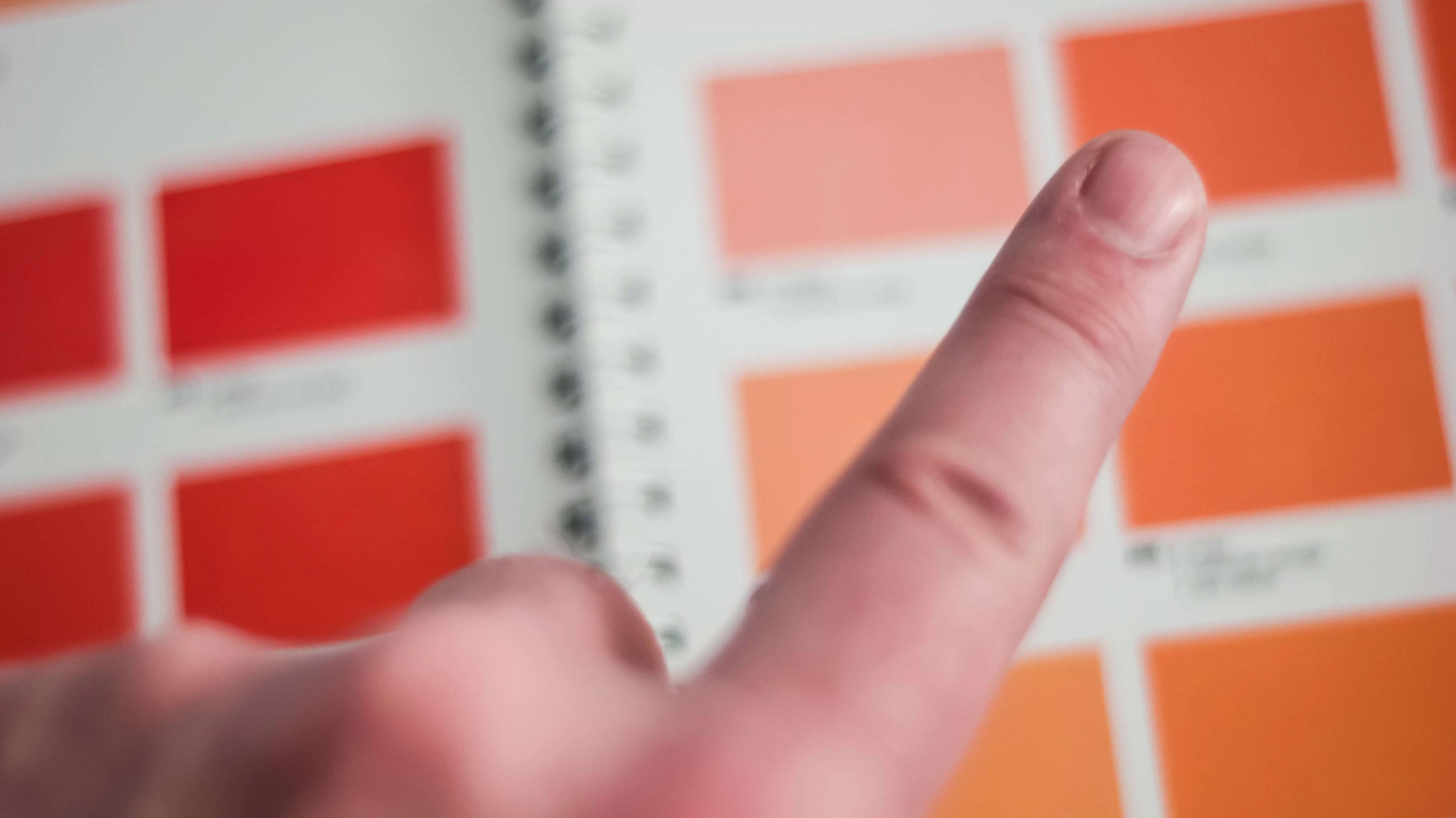 Connaitre son profil colorimétrique - Elora