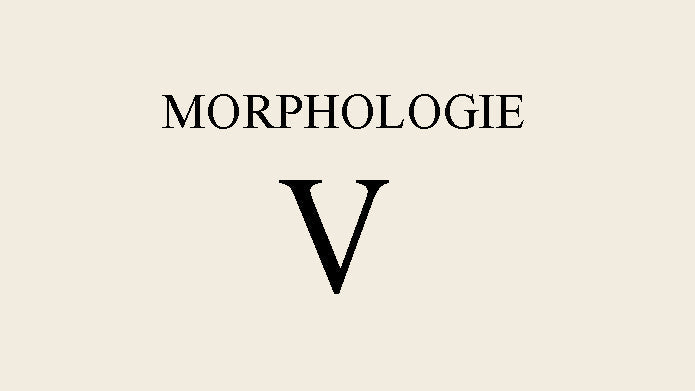Tout savoir sur la morphologie en v - Elora